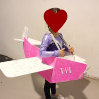 Flugzeug-Verkleidung basteln